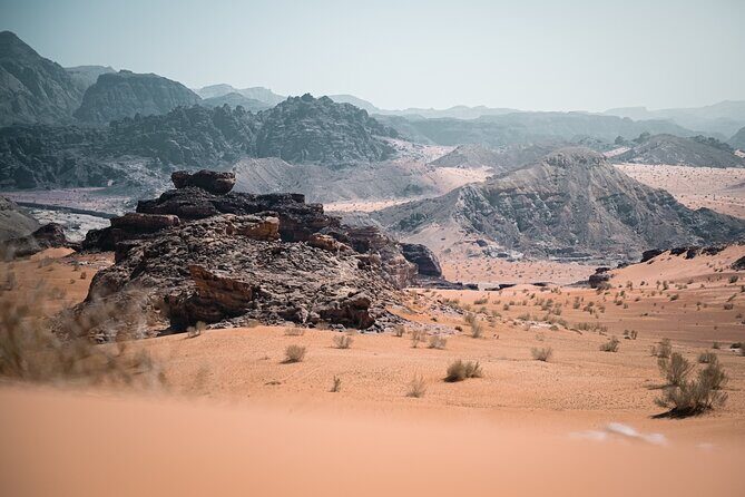 Petra to Wadi Rum Trek - 6 Days - Day 6: One Last Morning in Wadi Rum Protected Area
