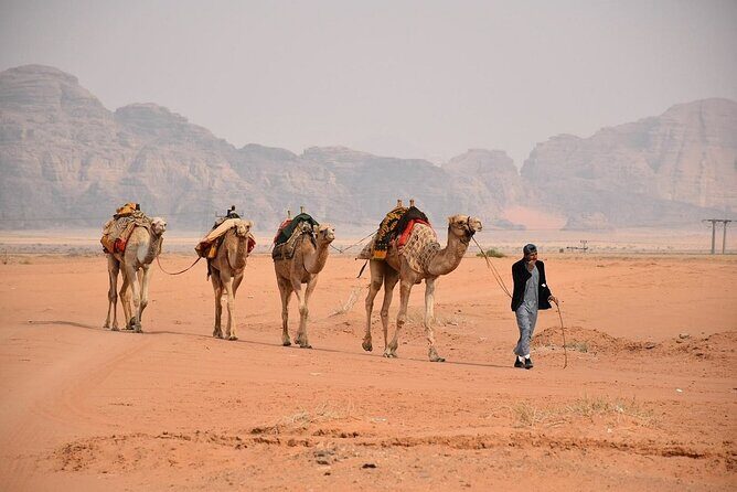 Petra & Wadi Rum Full-Day Tour from Amman or Airport - Wadi Rum Protected Area: Desert Views and the Jeep Safari Option