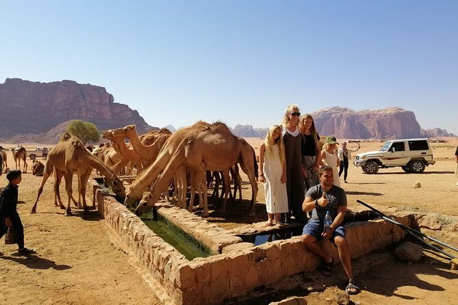 Petra & Wadi Rum in 3 Days from Amman Airport - Who This Tour Suits Best (and Who Might Want a Different Fit)