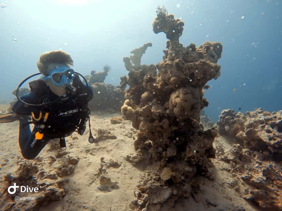 Pivate scuba diving in the Red Sea of Aqaba - Quick hits