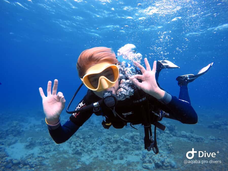 Pivate scuba diving in the Red Sea of Aqaba - Logistics That Matter (Without Making It Complicated)
