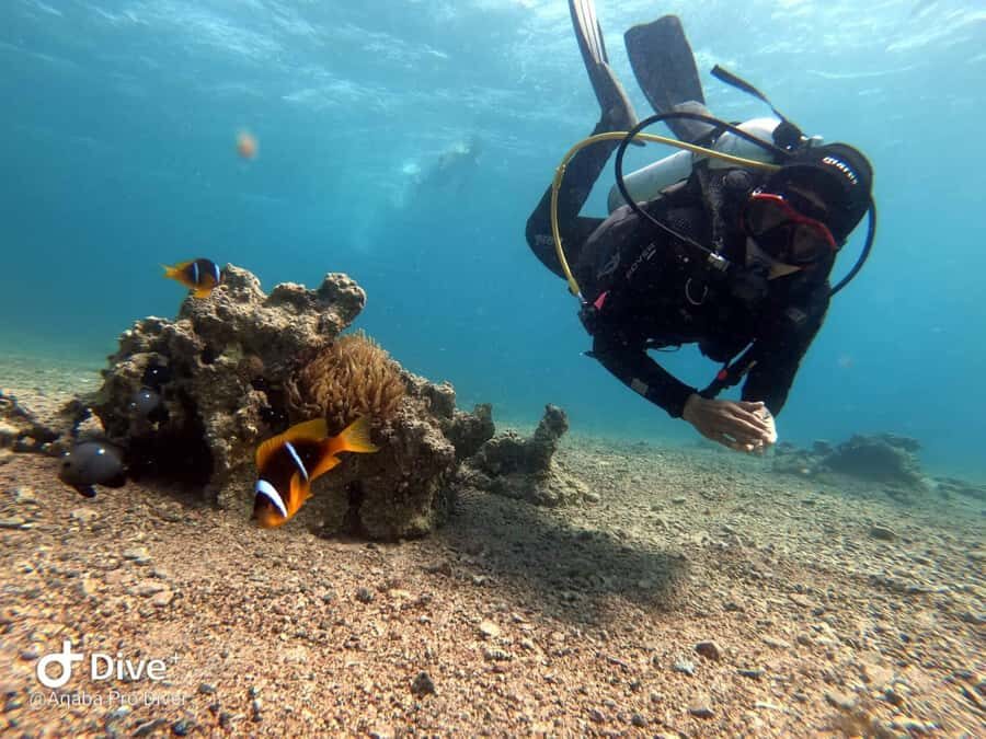 Pivate scuba diving in the Red Sea of Aqaba - Certified Diver Setup: A Personal Guide and Real Choice