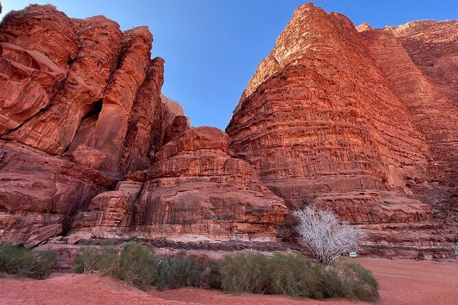 Private 1 Day Wadi Rum Desert Tour - Price and value: what $94.24 covers in a private desert day