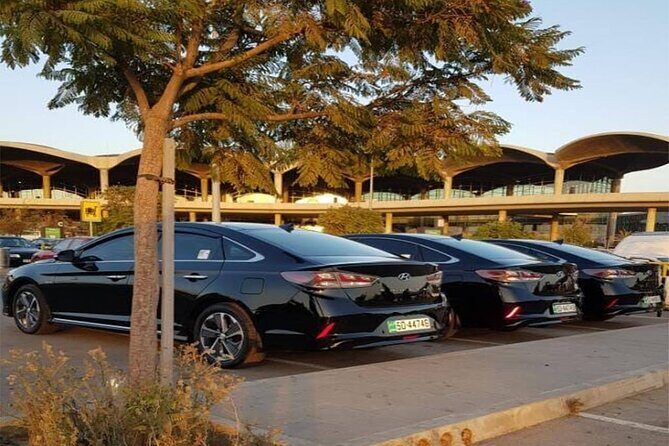 Private Arrival Transfer: Amman Airport to Petra Hotels - The Price Per Person: When Private Feels Worth It