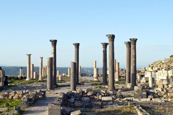 Private Day Trip to Jerash, Umm Qais and Ajloun Castle from Amman - Archaeological Museum of Umm Qais: a smart add if you want context