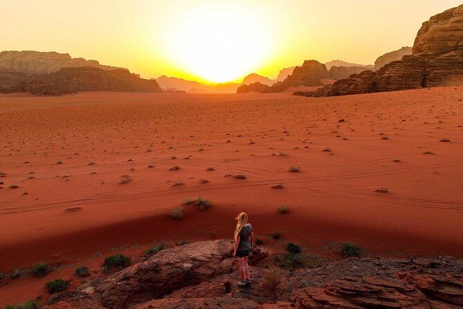 Private Day Trip to Petra and Wadi Rum with Lunch from Aqaba City - Who This Private Day Trip Suits Best
