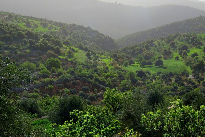 Private Full Day Tour to Umm Qais and Ajloun from Amman - Should you book this Umm Qais and Ajloun day trip?