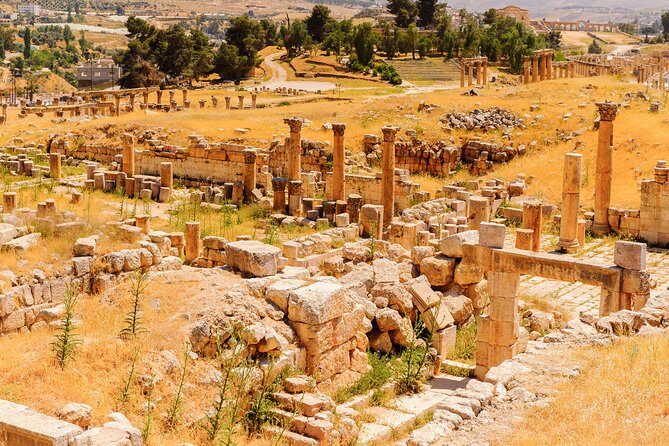 Private Half Day Jerash and Amman Sightseeing Tour - Oval Plaza, Temples, and the Hippodrome: what to watch for
