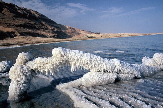 Private Half Day Tour to the Dead Sea - Resort time for floating, plus lunch when you choose it