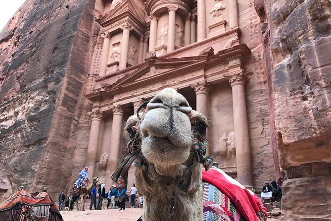 Private Petra Full-Day Trip from Aqaba City - What you really pay for: guide time, entrance fees, and private transport