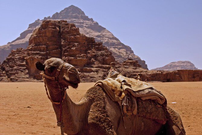 Private Tour of Wadi Rum Star Wars from Aqaba - Value Check: What You’re Paying for at $146.67
