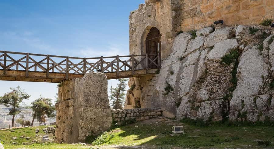 Private Tour to Jerash and Ajloun from Amman - Lunch option: when it helps, when it doesn’t