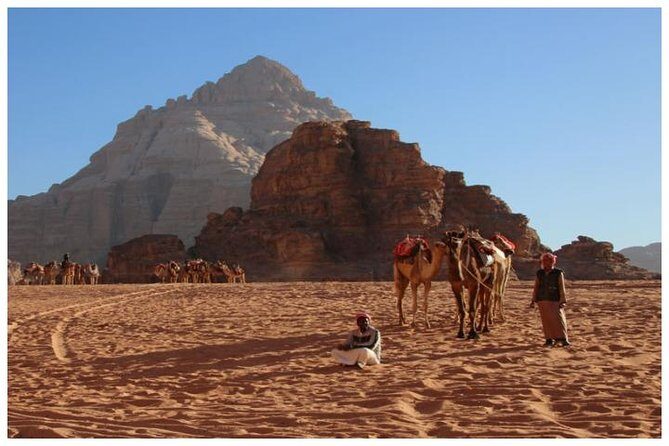 Private transfer Petra to/from Wadi Rum - Drop-Off Done Right: Hotel and Camp Locations