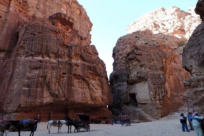 Private Transfers from Amman City Inside Jordan and Vice Versa - Price and Value: Is $77.46 a Smart Deal?