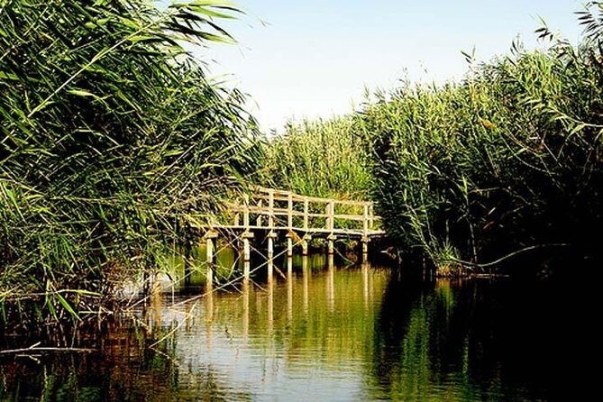 Shaumari Reserve and Azraq Wetland Private Full Day Tour from Amman - The 4x4 Feel Without the Headache