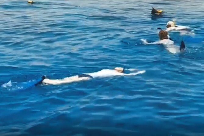 Shore Snorkeling - Two hours - South Beach Coral Gardens: What Makes This Spot Worth 2 Hours