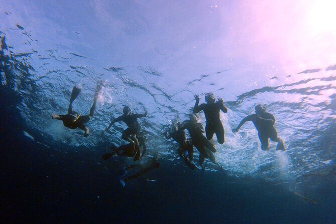 Snorkeling Activity in Aqaba with Lunch and Transportation (Boat) - What You’ll See Underwater: Marine Life and Wreck Targets