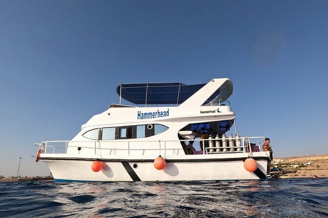 Snorkeling Activity in Aqaba with Lunch and Transportation (Boat) - The Onboard Lunch Setup: BBQ-Style Value You’ll Actually Appreciate