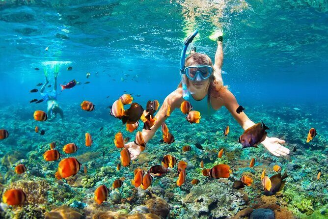 Snorkeling Activity in Aqaba with Lunch and Transportation (Boat) - Price and Value: Why $55 Works Here