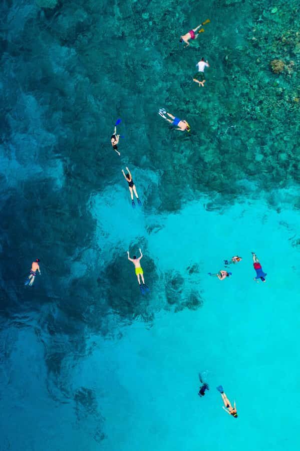 Snorkeling in The Red Sea With Equipment And Free Transfer - FAQ
