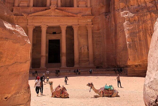Transfer Amman To/From Petra - The 2.5-Hour Desert Highway Ride You Can Actually Enjoy