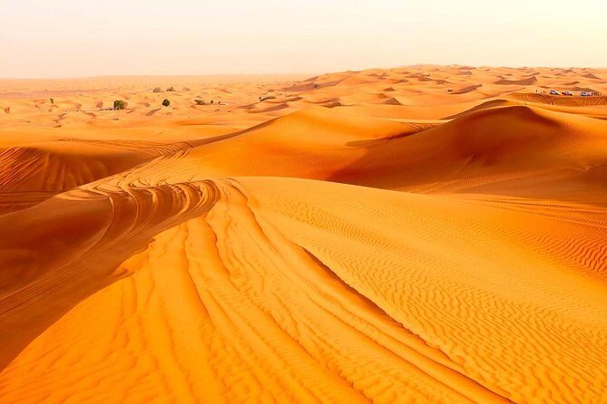 Treasures of Jordan Tour-7 Days Discover Petra & Dead Sea & Wadi Rum with Hotels - Day 4: Wadi Rum 4x4 Jeep Safari and Desert Camp Night