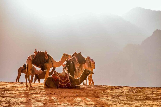 Treasures of Jordan Tour-7 Days Discover Petra & Dead Sea & Wadi Rum with Hotels - Day 5: Free Day in Amman—Use It to Reset