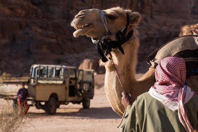 Two-Hour Jeep Safari "Wadi Rum Highlights!" w/ Professional Guide - Getting There: Meeting at Wadi Rum Rest House and Choosing Your Seat