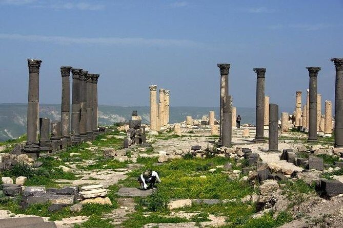Umm Qais, Ajloun and Jerash Full-Day Tour from Amman - Transportation and comfort: the air-conditioned car with Wi-Fi and water