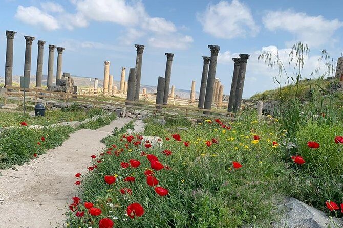 Umm Qais, Jerash & Ajloun Castle Day Tour from Amman - Private driver from your Amman hotel: stress-free start