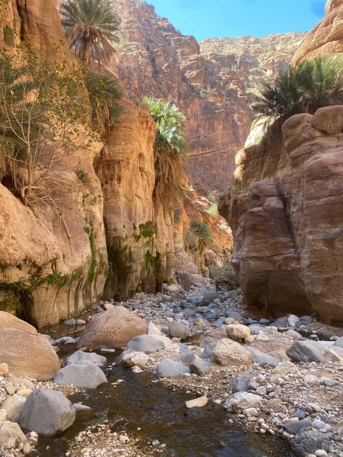 Wadi Ghuweir Full-Day Hike with Local Guide & Lunch. - Key points I’d plan around