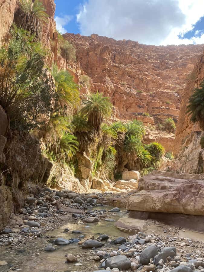 Wadi Ghuweir Full-Day Hike with Local Guide & Lunch. - The hike route: stream, sandstone cliffs, and a canyon-to-oasis transformation