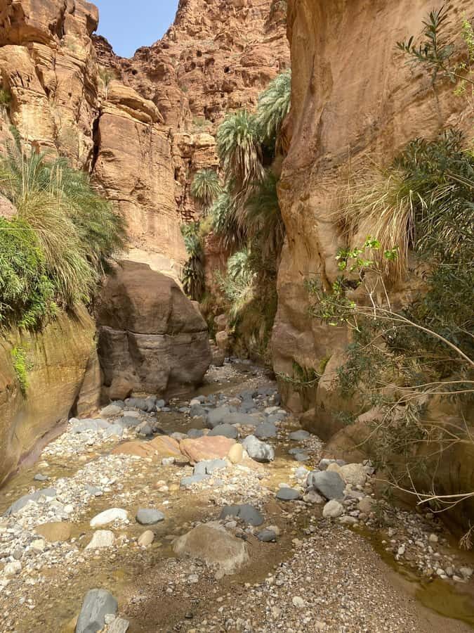 Wadi Ghuweir Full-Day Hike with Local Guide & Lunch. - How hard is this hike, really, and who should reconsider