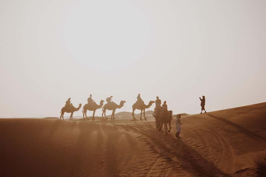 Wadi Rum: 2 Hour Camel Ride at Sunset/Sunrise Overnight - Entry Fees, Vouchers, and Finding the Real Start Point (Without Getting Swindled)