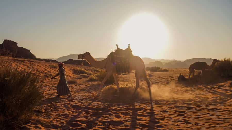 Wadi Rum: 2 Hour Camel Ride at Sunset/Sunrise Overnight - Photo Stops, Safety Briefing, and the Ride That Actually Hits at Sunset