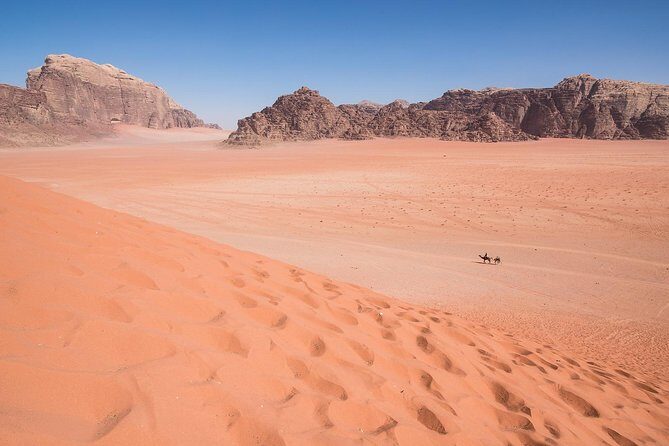 Wadi Rum: 4 Hour Highlights Tour - Price and Value at $73: What You’re Really Paying For