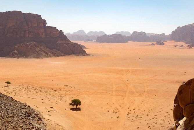 Wadi Rum: 4 Hour Highlights Tour - Khazali Canyon Petroglyphs: The Desert’s Ancient Clues