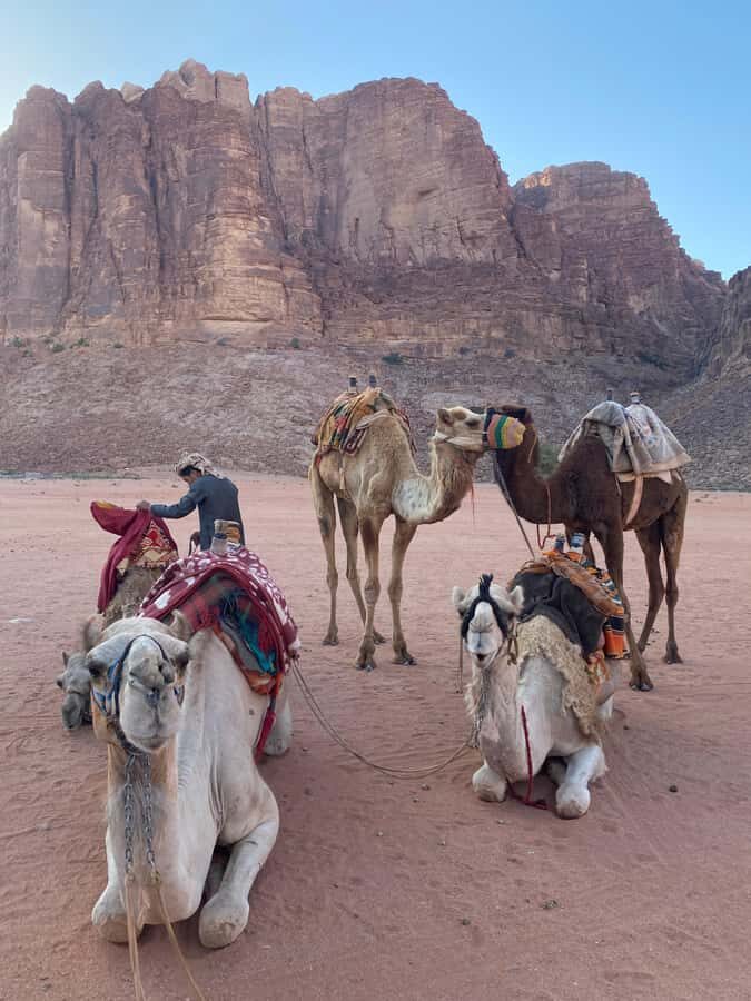 Wadi Rum Classic 4-Hour Jeep Safari - Morning air vs sunset color: which timing should you choose?