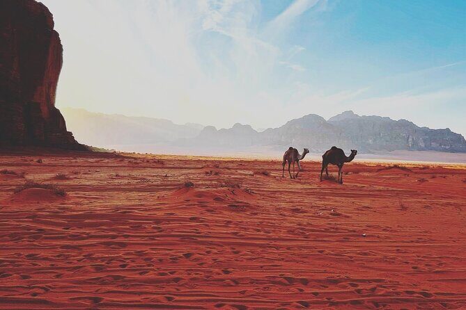 Wadi Rum Half-Day 4x4 and Camel Tour - Wadi Rum Protected Area: the story beats start here