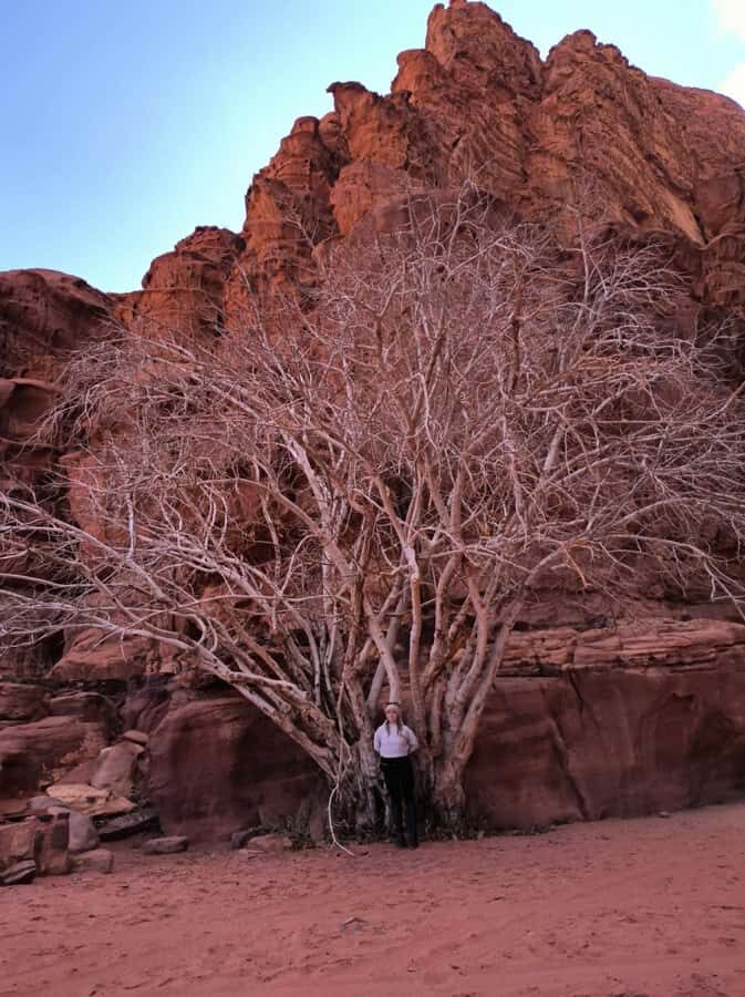 Wadi Rum: Morning or Sunset Jeep Tour - Little Bridge: tea, shopping, and the “slow down” break
