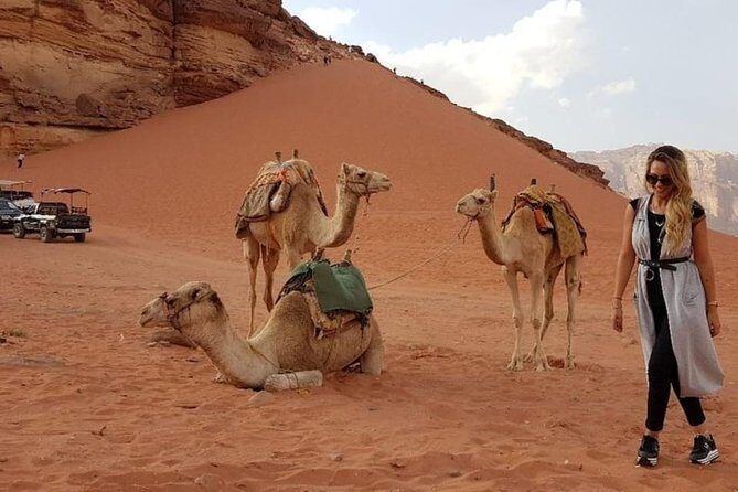 Wadi Rum Private Transfer to or from Amman or Airport - Price and Value: Is $149.99 Per Person Worth It?