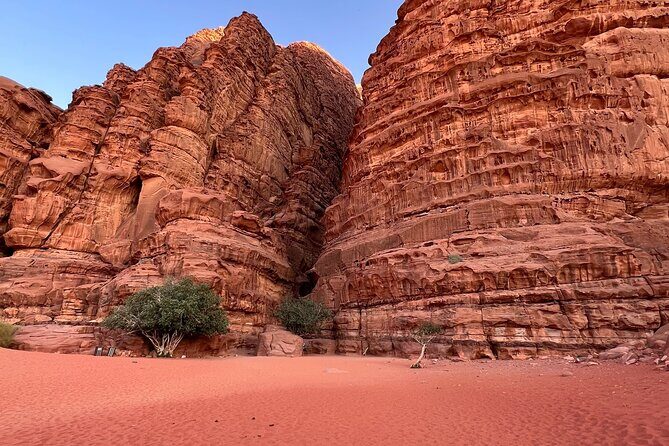 Wadi Rum Short Tours - Lawrence’s Spring: a movie-famous stop with real desert logic